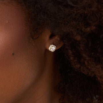 Micro Clustered Diamond Earrings in Yellow Gold