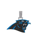 Carolina Panthers