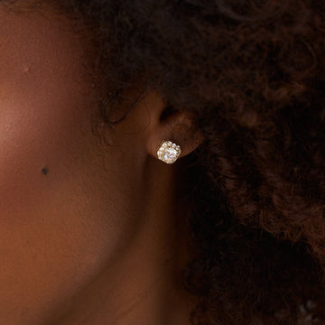 Micro Clustered Diamond Earrings in Yellow Gold