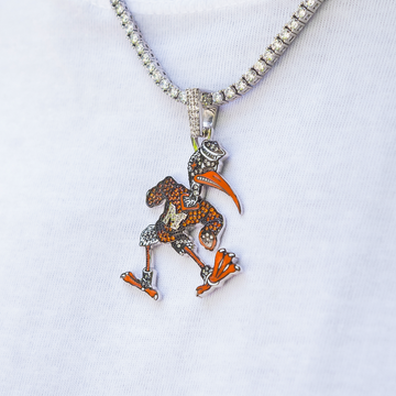 Miami Hurricanes Sebastian the Ibis Pendant