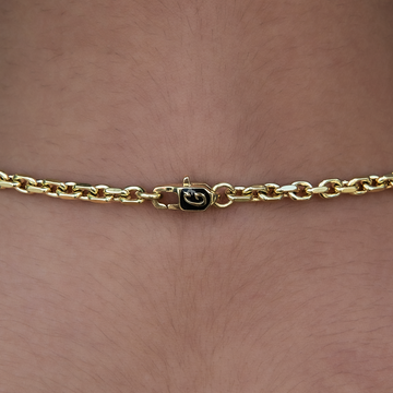 Cadena abierta de 3.6mm - Oro amarillo