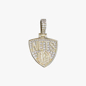Micro de los Brooklyn Nets