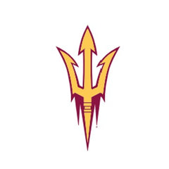 Arizona State University