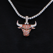 Chicago Bulls Official NBA Logo Pendant