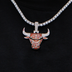 Chicago Bulls