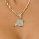 Carolina Panthers Official NFL Micro Logo Pendant in Yellow Gold