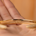Brazalete abierto con puntas pavé
