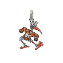 Miami Hurricanes Sebastian the Ibis