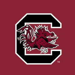 University of South Carolina