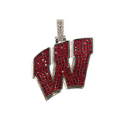 Wisconsin Badgers Logo